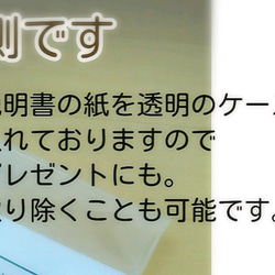 ★こっそり持ちたい 蛇の抜け殻お守り ★お散歩 ねこ 贈り物 バック  財布 スマホ ポーチ　 3枚目の画像