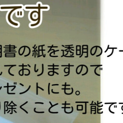 ●蛇の脱け殻 お守り●ねこ ギフト プチギフト  誕生日 プレゼント 商品説明書付き 3枚目の画像