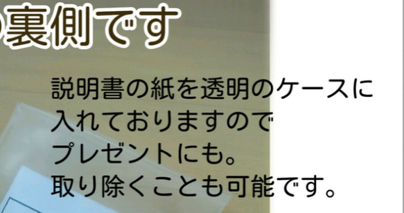 ●蛇の脱け殻 お守り●ねこ ギフト プチギフト  誕生日 プレゼント 商品説明書付き 3枚目の画像