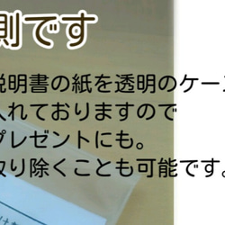 こっそり持ちたい★蛇の抜け殻　お守り◀キラッと輝く　シンプル モチーフ 誕生日  プレゼント   商品説明書付 3枚目の画像