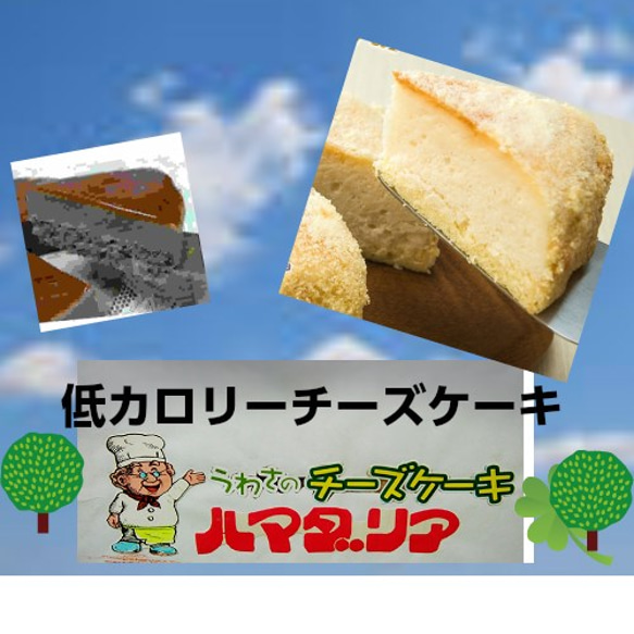 うわさのチーズケーキ（ヘルシーフード） 1枚目の画像