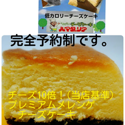 [新発売]チーズ10倍！プレミアムメレンゲチーズケーキ 1枚目の画像