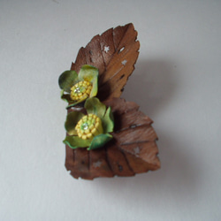 黄緑系花と茶色の葉 2枚目の画像