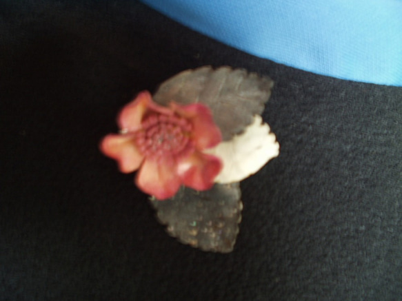 ピンク色の花にグレーの葉 3枚目の画像
