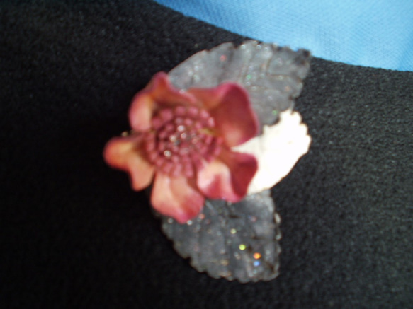 ピンク色の花にグレーの葉 4枚目の画像