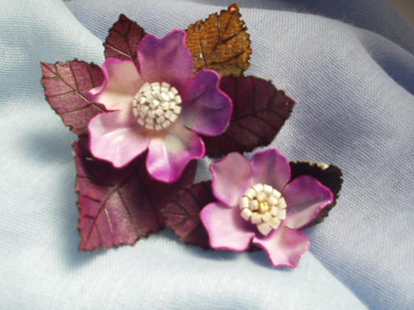 小さい紫花紫葉 6枚目の画像