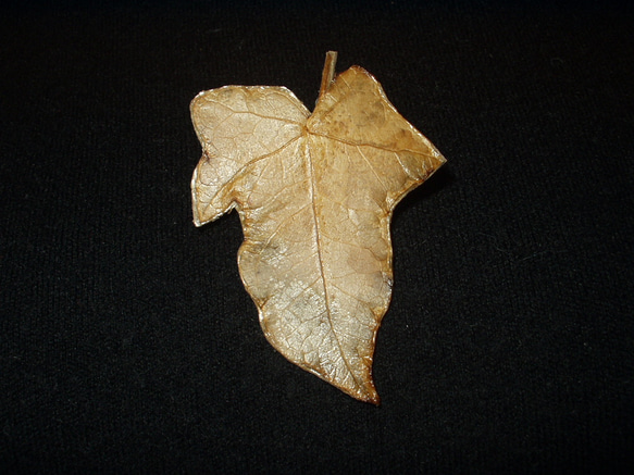 自然のツタの葉ブローチ 1枚目の画像