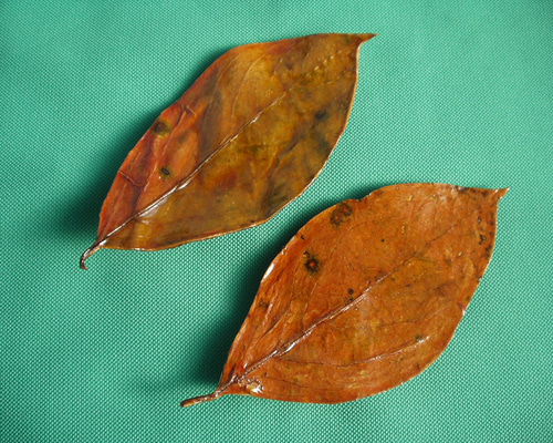 1_ec09802568e98e2a6a1a3b4563de