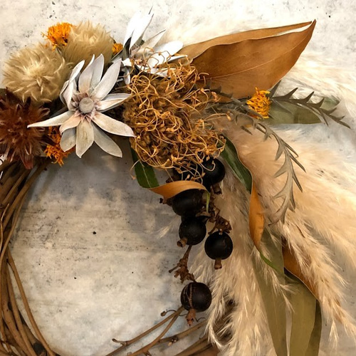 パンパスとネイティブフラワーのリース＊直径約20cm ドライ