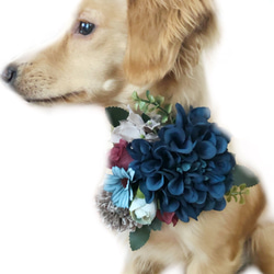 【送料無料】犬 ブルー系 撮影 ヘッドドレス 首輪 アクセサリー　チョーカー　誕生日やお祝いに...♡ 1枚目の画像