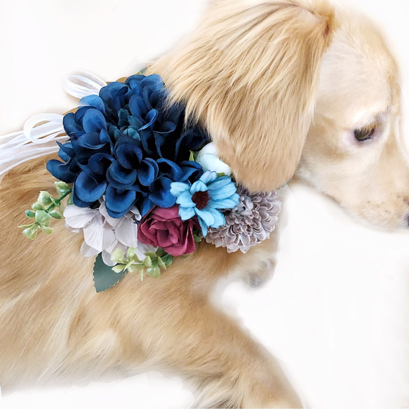 【送料無料】犬 ブルー系 撮影 ヘッドドレス 首輪 アクセサリー　チョーカー　誕生日やお祝いに...♡ 2枚目の画像