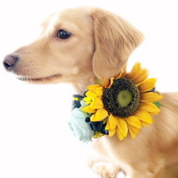 ペット 犬 ひまわり 夏 紫陽花 アクセサリー 飾り 誕生日 お祝い 撮影 写真 ヘッドドレス アンティーク 4枚目の画像