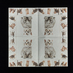 ペーパーナプキン*猫の5柄setⒸ 2枚目の画像