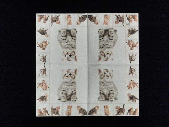 ペーパーナプキン*猫の5柄setⒸ 2枚目の画像