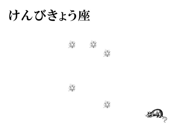 けんびきょう座 3枚目の画像