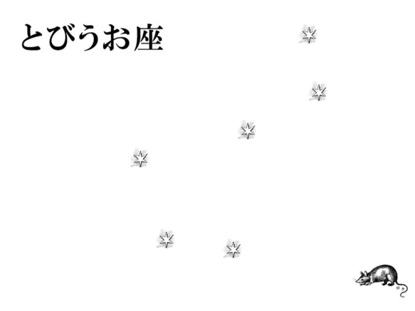 とびうお座 3枚目の画像