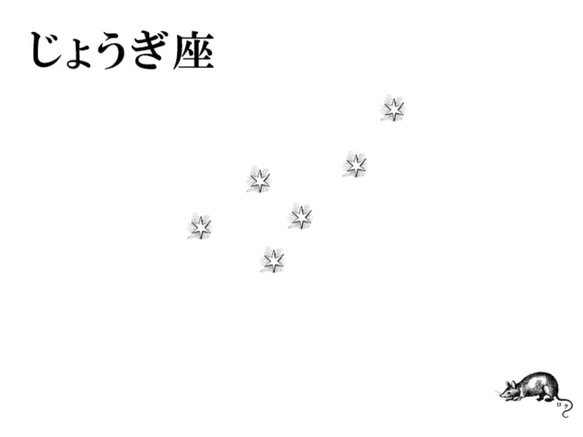 じょうぎ座 3枚目の画像