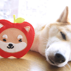 【Mangogirl]癒し系。アップル柴犬の手作りコースター 5枚目の画像