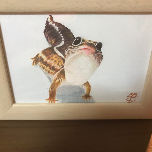 色鉛筆画 色鉛筆画 - Search / X