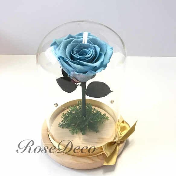 不凋花玫瑰 大型玻璃罩花禮 小王子 美女與野獸類似款 (淺藍色) 第1張的照片