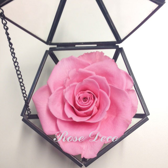 《訂製品》 五角形玻璃珠寶盒   櫻花粉  不凋玫瑰花 第2張的照片