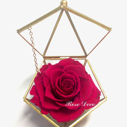 《訂製品》銅金色 五角形珠寶盒 不凋玫瑰花 桃粉色 第2張的照片