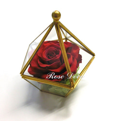 《訂製品》銅金色 五角形珠寶盒 不凋玫瑰花 紅黑色 第5張的照片