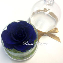 《訂製品》 不凋花玫瑰花玻璃罩 寶藍色 第1張的照片