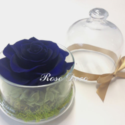 《訂製品》 不凋花玫瑰花玻璃罩 寶藍色 第3張的照片