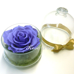 《訂製品》 不凋花玫瑰花玻璃罩 馬卡龍紫 第3張的照片