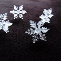 雪の結晶のイヤリング 1枚目の画像