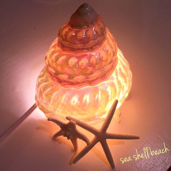 キラキラ✴︎磨き巻貝のランプ 1枚目の画像