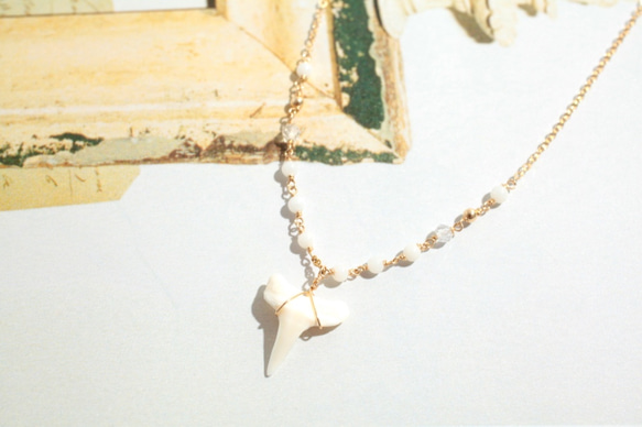 シャークトゥース(サメの歯)ネックレス ホワイトコーラル＊トパーズ 2枚目の画像