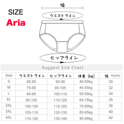 在庫処分セール☆ ナプキン不要【Aria】サニタリーショーツ 吸水 生理用 尿もれ オムツ 生理 Creema限定 10枚目の画像