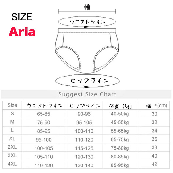 在庫処分セール☆ ナプキン不要【Aria】サニタリーショーツ 吸水 生理用 尿もれ オムツ 生理 Creema限定 10枚目の画像