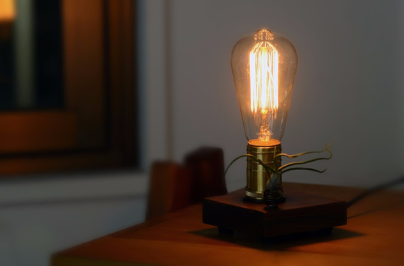 01 lighting design • Edison with "airplants" 2枚目の画像