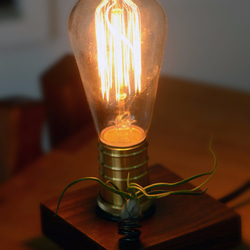 01 lighting design • Edison with "airplants" 3枚目の画像