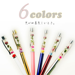 您可以自由選擇[2分]！草藥圓珠筆6種顏色可供選擇 第2張的照片