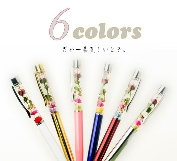 您可以自由選擇[2分]！草藥圓珠筆6種顏色可供選擇 第2張的照片