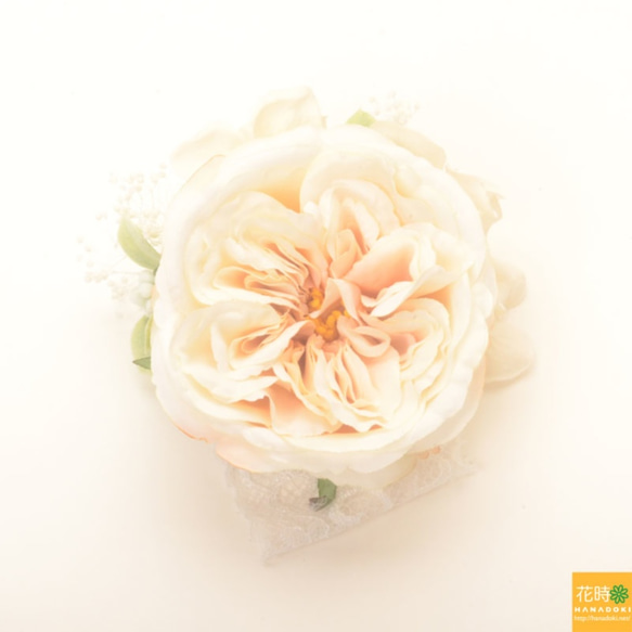 白色胸花的老玫瑰 第3張的照片