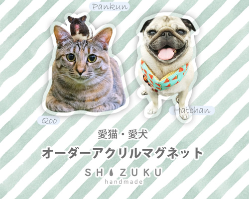 愛猫 愛犬 オーダーアクリルマグネット ペット服・アクセサリー