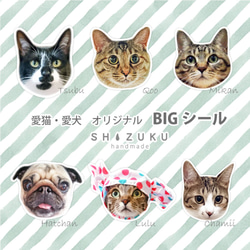 愛猫 愛犬 ＢＩＧシール　オーダーシール 1枚目の画像