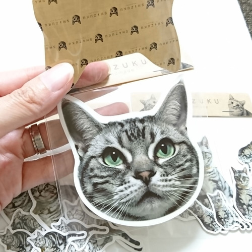消費税無し 愛猫 愛犬 BIGシール オーダーシール ペット服・アクセサリー 手提げ・レッスンバッグ・入園グッズ