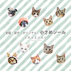 猫丸様　オーダー専用ページ Amazon.co.jp: ねこに転生したおじさん[ポストカード]ダイカット