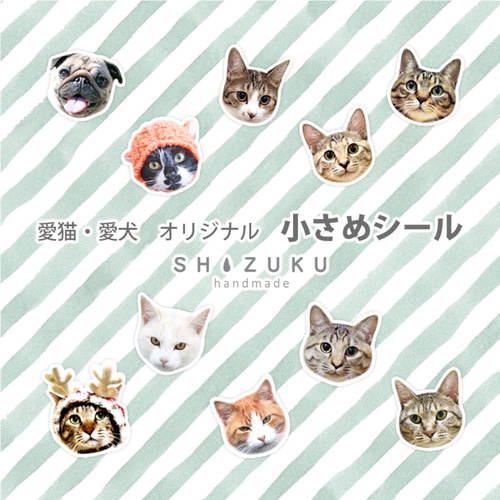 愛猫 愛犬 小さめシール オーダーシール ペット服・アクセサリー