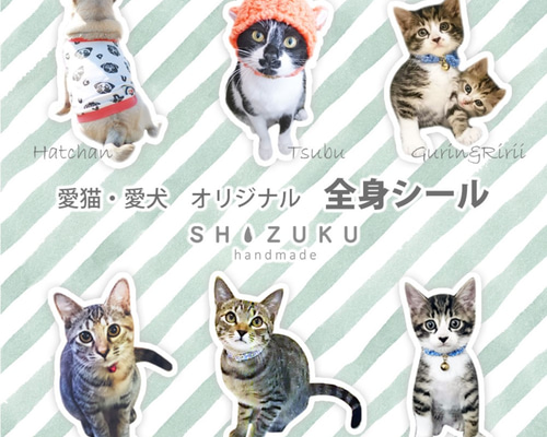 ねこ◎様♥️オーダーページ♥️2便になります 愛猫 愛犬 全身シール オーダーシール ペット服・アクセサリー