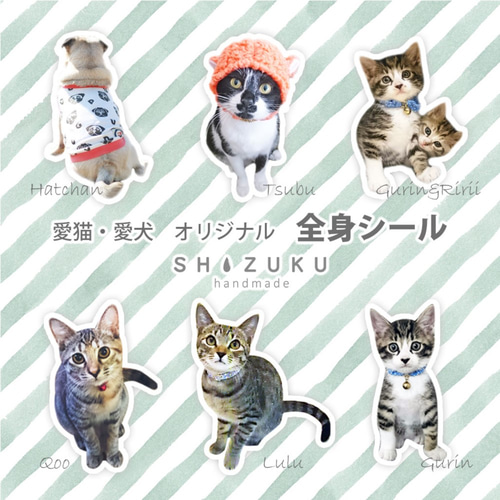 愛猫 愛犬 全身シール オーダーシール ペット服・アクセサリー
