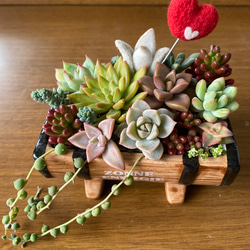❤️専用♥多肉植物❤️そのまま飾れる寄せ植え❤️ ❤️専用♥多肉植物❤️そのまま飾れる寄せ植え❤️ - メルカリ