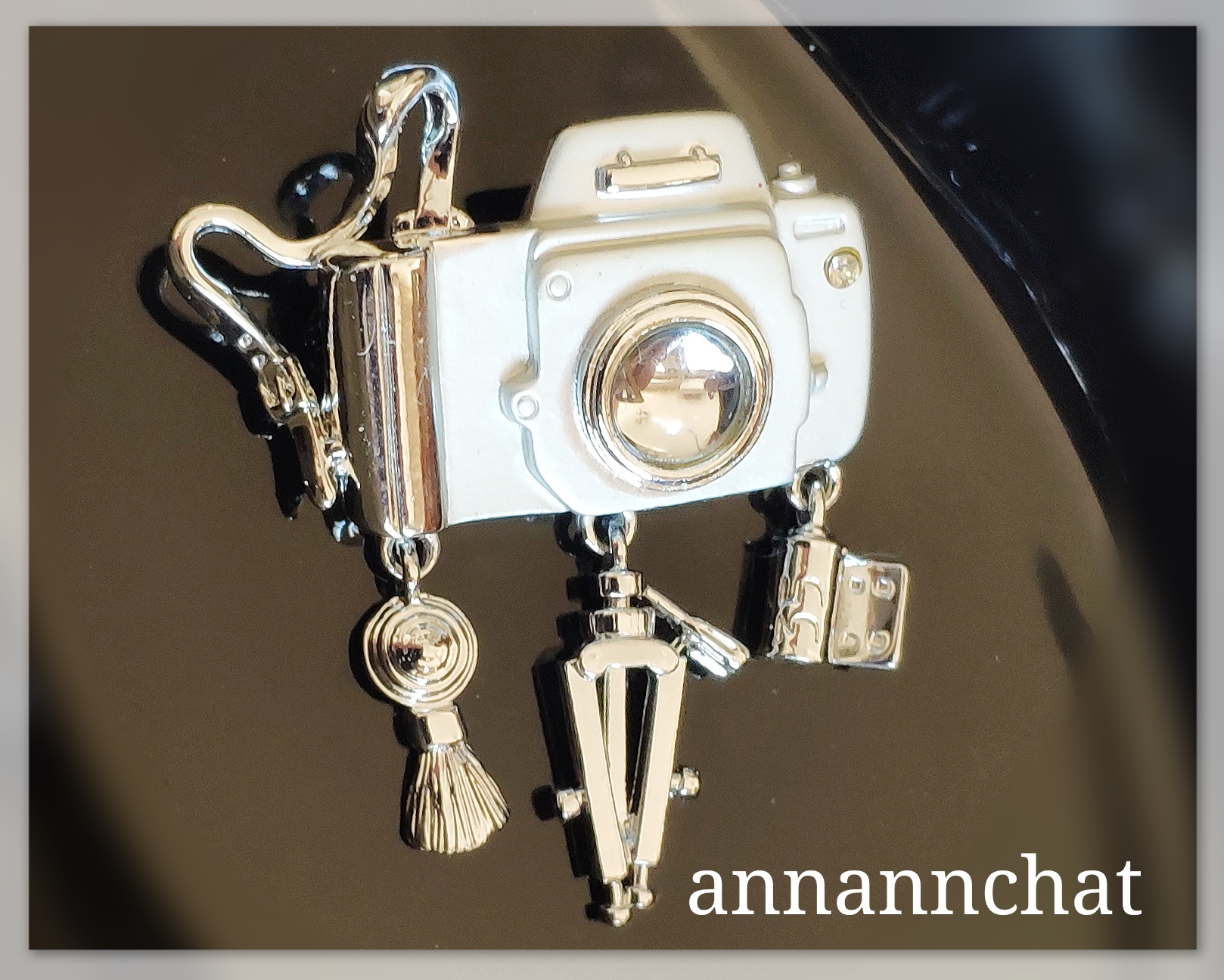 【ビンテージ　写真機　カメラ　備品　揺れる　ブローチ】父の日　写真家