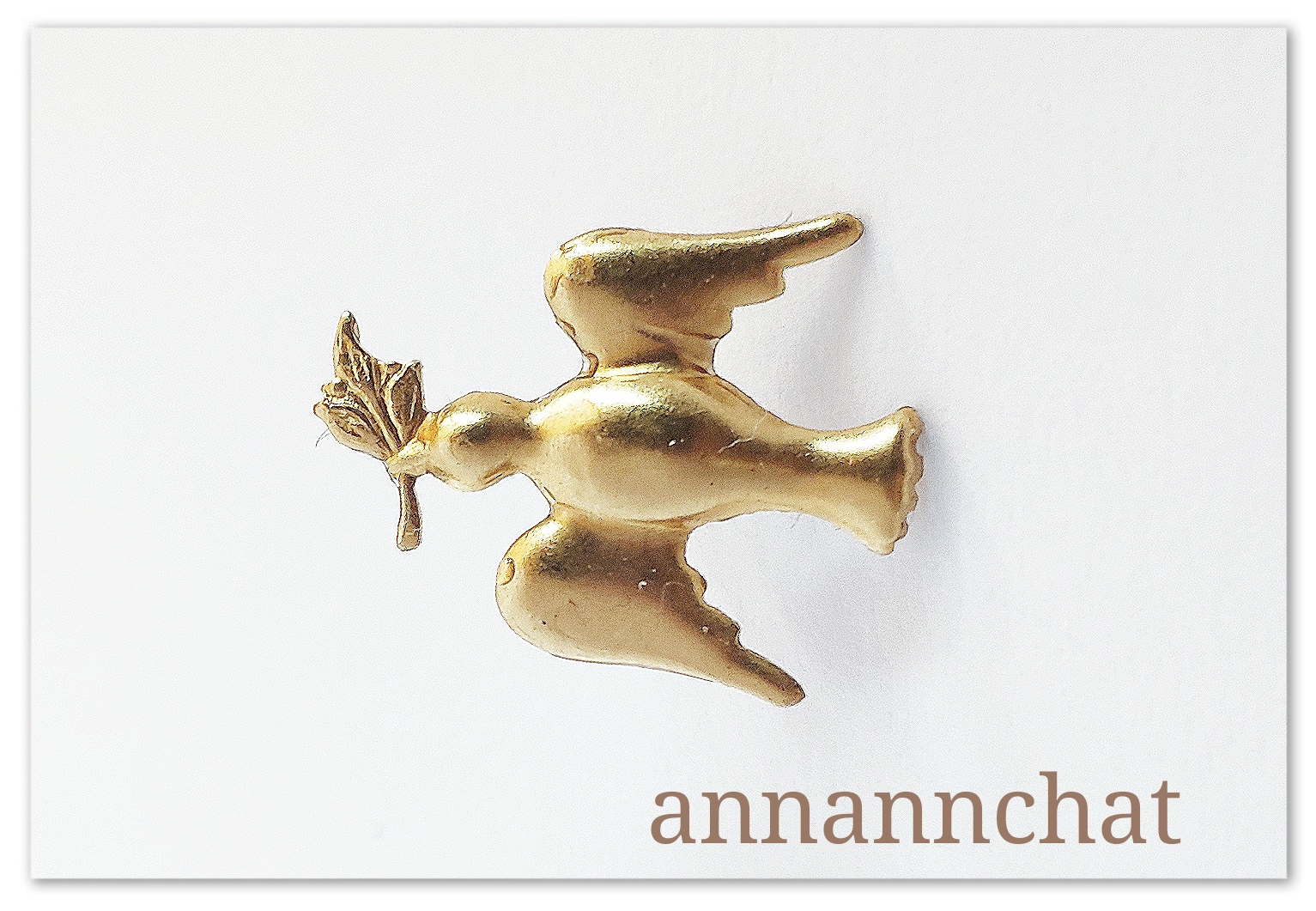 イスラエルのコイン、ノアの箱舟 17.28g 金貨プルーフ 10 NIS 空に向かって鳩が飛ぶ  sot（ソット）のロゴ。平和の象徴である“オリーブを咥えた鳩”に込めた想い。 | sot（ソット）公式サイト | オンラインストア